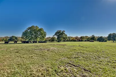 0 Wellman Road, Washington, TX 77880 - Photo 19