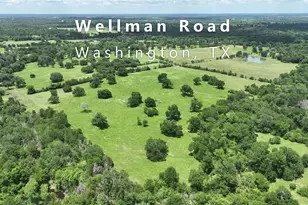 0 Wellman Rd, Washington, TX 77880 - Photo 1