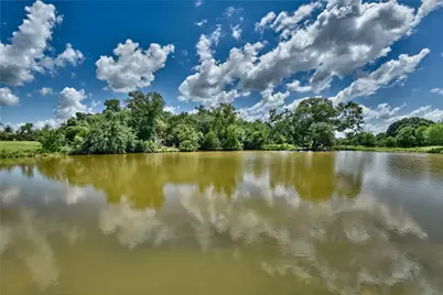 0 Wellman Road, Washington, TX 77880 - Photo 17