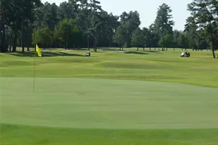 20610 Rosespring Ln, Spring, TX 77379 - Photo 33