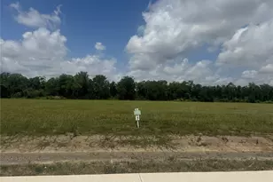 1803 Rymal Ranch Rd, Algoa, TX 77511 - Photo 1