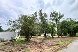19875 Ava Ln, Montgomery, TX 77316 - Photo 5