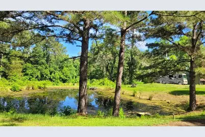 10929 Fm 83 Highway, Bronson, TX 75930 - Photo 47