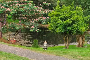 10929 Fm 83 Hwy, Bronson, TX 75930 - Photo 33