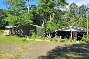 10929 Fm 83 Hwy, Bronson, TX 75930 - Photo 45