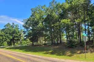 10929 Fm 83 Hwy, Bronson, TX 75930 - Photo 39