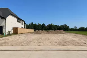 7914 Coastal Prairie Dr, Porter, TX 77365 - Photo 9