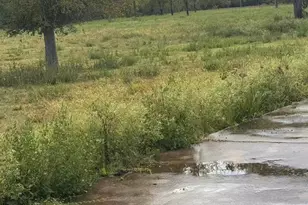 000 Fm 521 Hwy N, Rosharon, TX 77583 - Photo 13