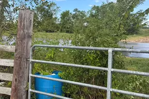 000 Fm 521 Hwy N, Rosharon, TX 77583 - Photo 7