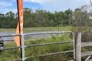 000 Fm 521 Hwy N, Rosharon, TX 77583 - Photo 3