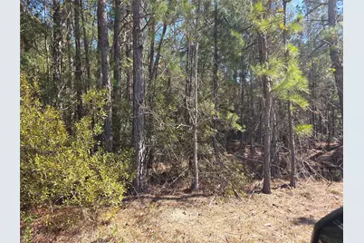 12635 Fm 356, Trinity, TX 75862 - Photo 7