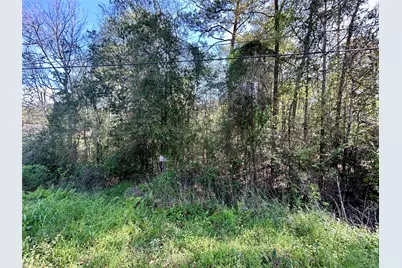 Lot 77-A Royal Lake Drive, Conroe, TX 77303 - Photo 3