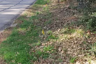 19265 Alford Rd, Magnolia, TX 77355 - Photo 1