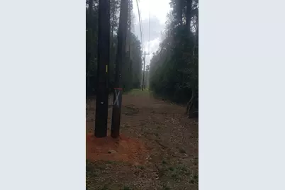 19265 Alford Road, Magnolia, TX 77355 - Photo 9