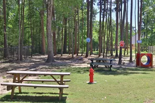 828 Coleto Run, Conroe, TX 77304 - Photo 41