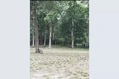 00 Mustang Drive, Splendora, TX 77372 - Photo 3