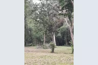 00 Mustang Drive, Splendora, TX 77372 - Photo 5