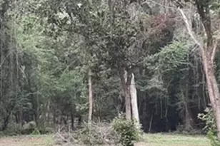 136469 Mustang Dr, Splendora, TX 77372 - Photo 5