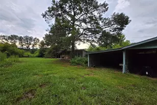 10984 Fm 1746, Woodville, TX 75979 - Photo 15