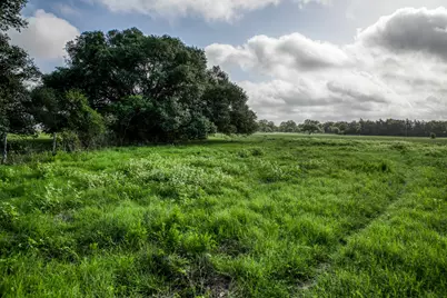 Tract 5 S Nassau Road, Round Top, TX 78954 - Photo 11