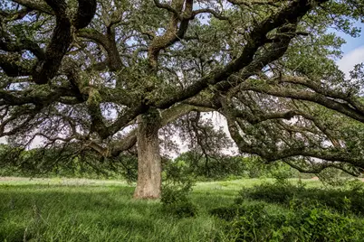 Tract 5 S Nassau Road, Round Top, TX 78954 - Photo 9