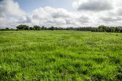 Tract 5 S Nassau Road, Round Top, TX 78954 - Photo 13