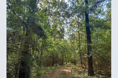 230 Private Road 8305, Woodville, TX 75979 - Photo 3