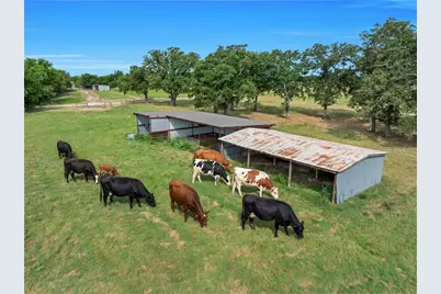 432 Fm 1953, Groesbeck, TX 76642 - Photo 49