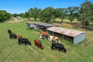 432 Fm 1953, Groesbeck, TX 76642 - Photo 49