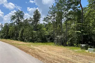 15529 Republic Park Trail, Willis, TX 77378 - Photo 11