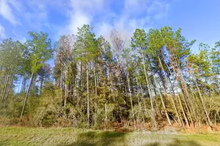 15529 Republic Park Trail, Willis, TX 77378 - Photo 7