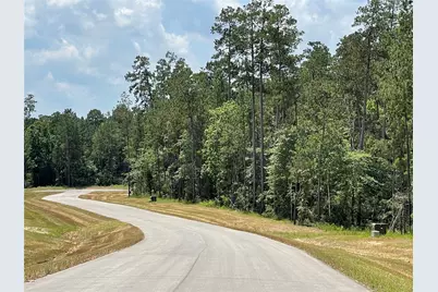 15529 Republic Park Trail, Willis, TX 77378 - Photo 9