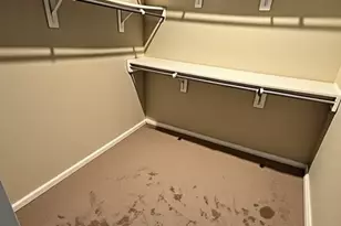 17451 Farm Pasture Trl, Hockley, TX 77447 - Photo 15