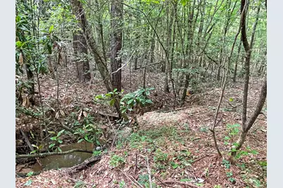 5129 County Road 425, Jasper, TX 75951 - Photo 3