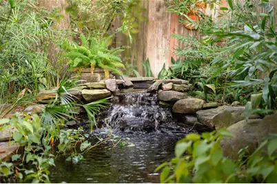 1325 Milford, Houston, TX 77006 - Photo 37