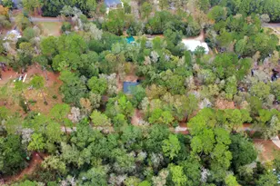 23500 Sweetgum Dr, Hockley, TX 77447 - Photo 41