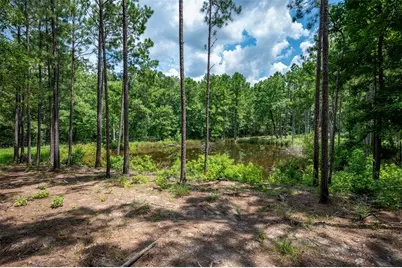 625 County Road 2570, Colmesneil, TX 75938 - Photo 45
