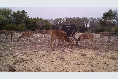 Lot 15 Contrary Creek Ranches, Rocksprings, TX 78880 - Photo 19