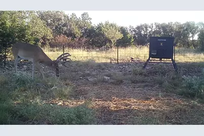 Lot 15 Contrary Creek Ranches, Rocksprings, TX 78880 - Photo 9