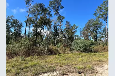 Tbd 7 Reveille Road, Livingston, TX 77351 - Photo 11