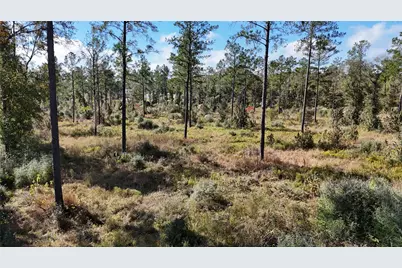 Tbd 7 Reveille Road, Livingston, TX 77351 - Photo 7