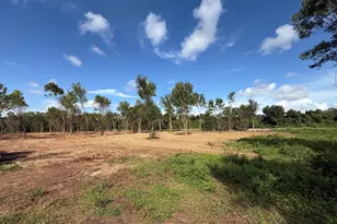 3114 County Rd 30, Angleton, TX 77515 - Photo 1