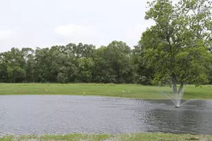 368 Pine Ridge Dr, Cleveland, TX 77327 - Photo 29