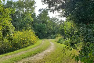 23310 Margerstadt Rd, Hockley, TX 77447 - Photo 5