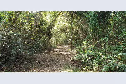 23310 Margerstadt Road, Hockley, TX 77447 - Photo 15