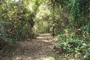 23310 Margerstadt Rd, Hockley, TX 77447 - Photo 15