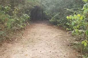 23310 Margerstadt Rd, Hockley, TX 77447 - Photo 23