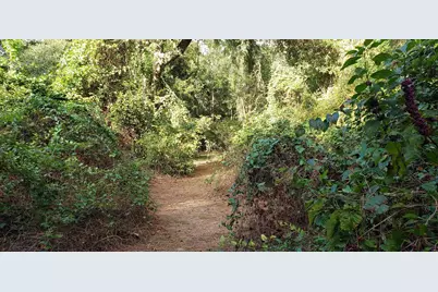 23310 Margerstadt Road, Hockley, TX 77447 - Photo 21