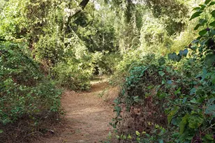 23310 Margerstadt Rd, Hockley, TX 77447 - Photo 21