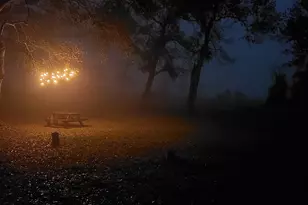 23310 Margerstadt Rd, Hockley, TX 77447 - Photo 31